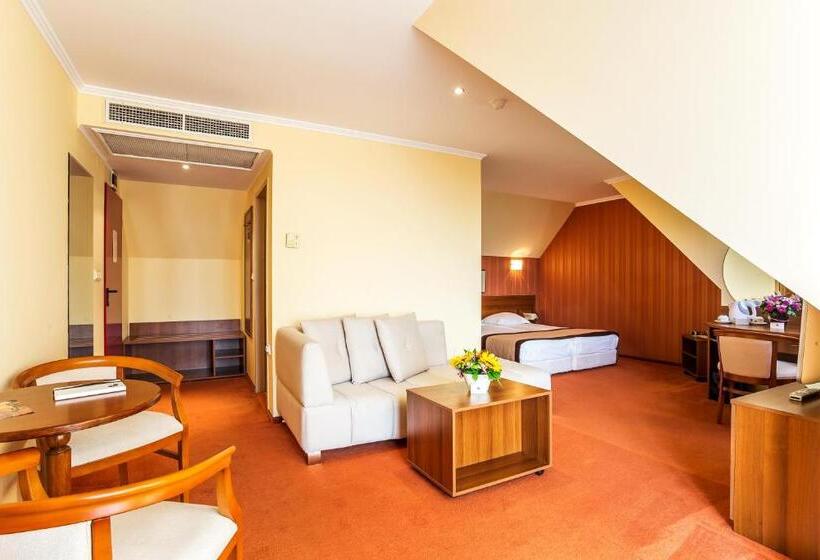 스탠다드 스튜디오, Saint George Hotel & Medical Spa