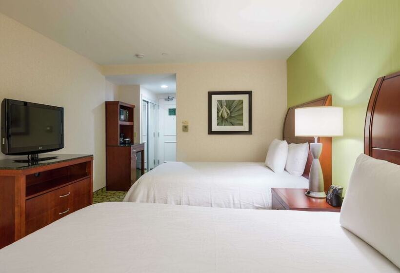 اتاق استاندارد با 2 تخت دوبل, Hilton Garden Inn Queens/jfk Airport