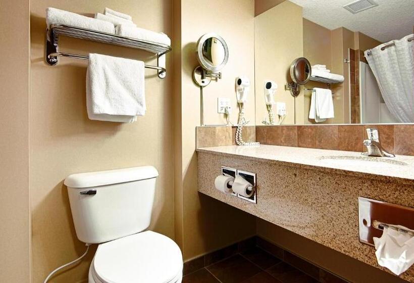 Номер Стандарт Кровать Кинг Адаптированный для Инвалидов, Best Western Diamond Inn