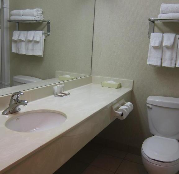 キングサイズベッドのスタンダードルーム, Howard Johnson By Wyndham Toronto Downtown West