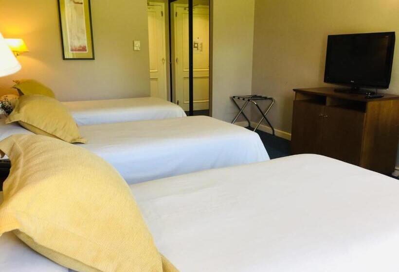 스탠다드 트리플 룸, San Miguel Plaza Hotel All Inclusive