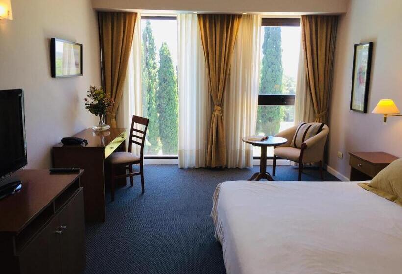 스탠다드 싱글 룸, San Miguel Plaza Hotel All Inclusive