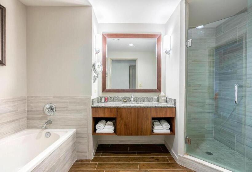 חדר סטנדרט מותאם לאדם עם מוגבלויות, Auburn Marriott Opelika Resort & Spa At Grand National