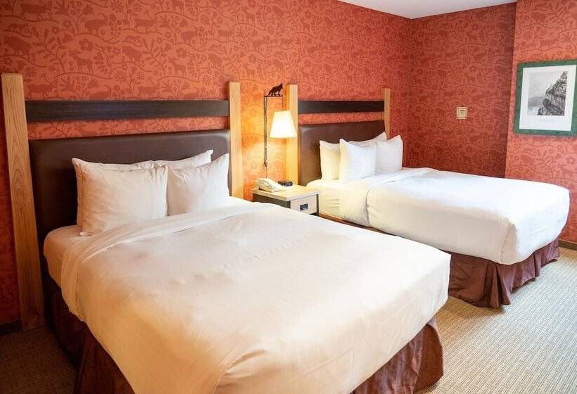 스위트, Fox Hotel And Suites
