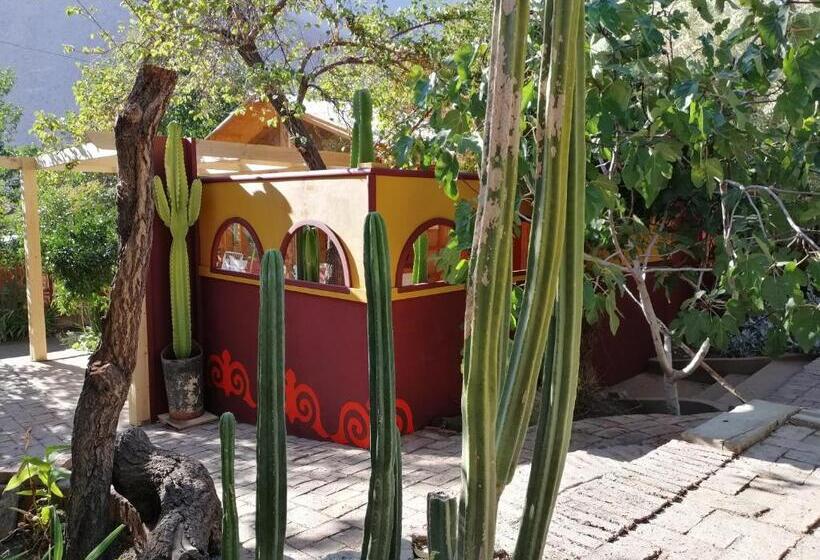 Семейный Номер, El Jardín Secreto Pisco Elqui