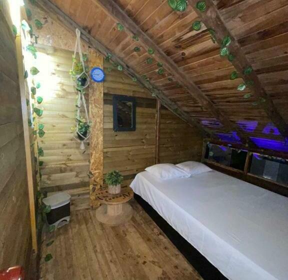 اتاق استاندارد با چشم‌انداز دریا, Tamarindo Beach Hostel