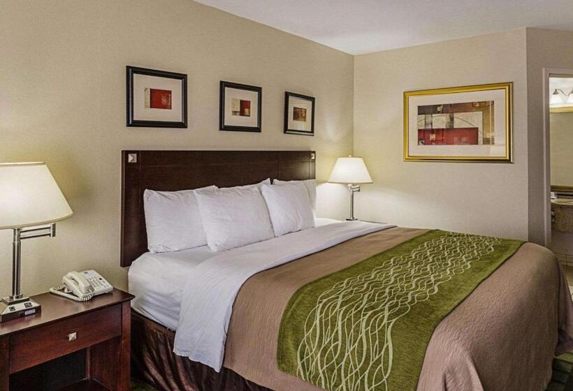 스탠다드 룸 킹사이즈 침대, Comfort Inn Southwest Fwy At Westpark