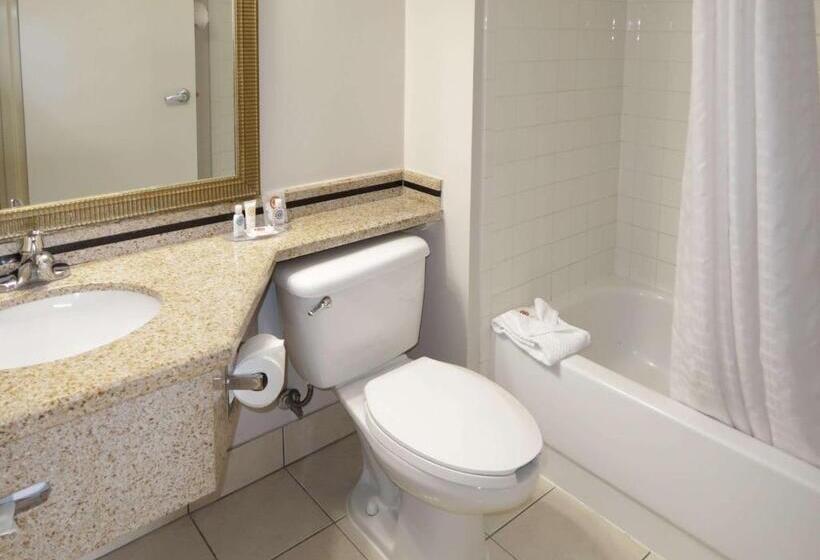 스위트 킹사이즈 침대, Comfort Inn Southwest Fwy At Westpark