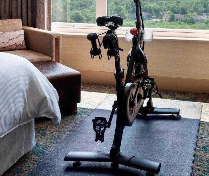 Полулюкс, The Westin Chicago North Shore