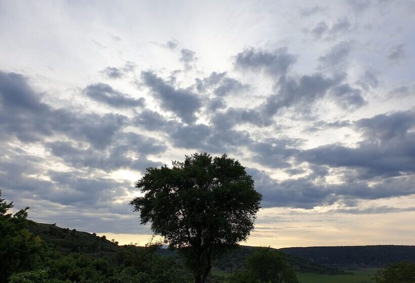 스탠다드 룸, Cardamomo Sigüenza