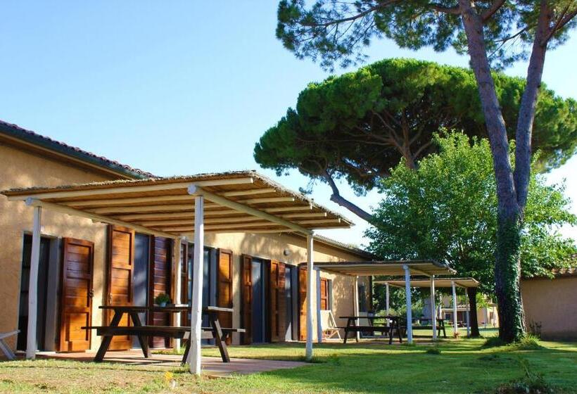 Апартаменты 1 Спальня с Террасой, Agriturismo Arundineto Valle   By Bolgheri Holiday