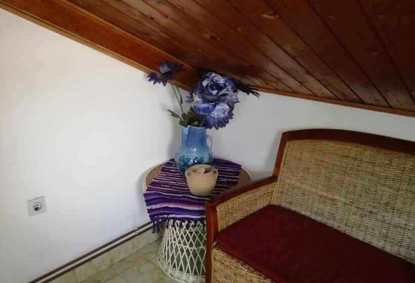 سوئیت 2 خوابه, Guest House Vila Bak