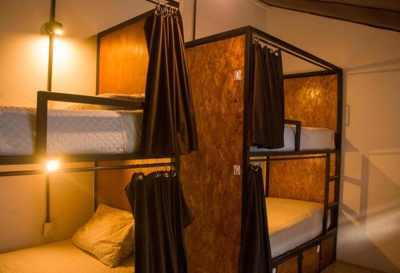 تختخواب در اتاق مشترک, Tzunun Hostel