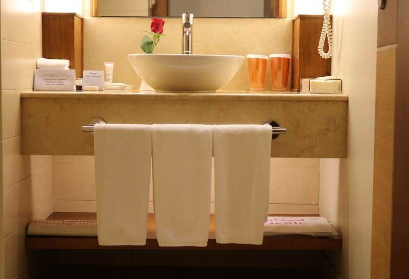 اتاق استاندارد با تخت دوبل, Crowne Plaza Sohar, An Ihg