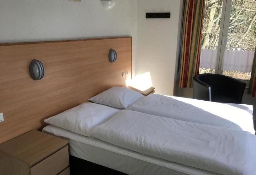 Номер Комфорт, Parkhotel Villa Des Effats Vielsalm