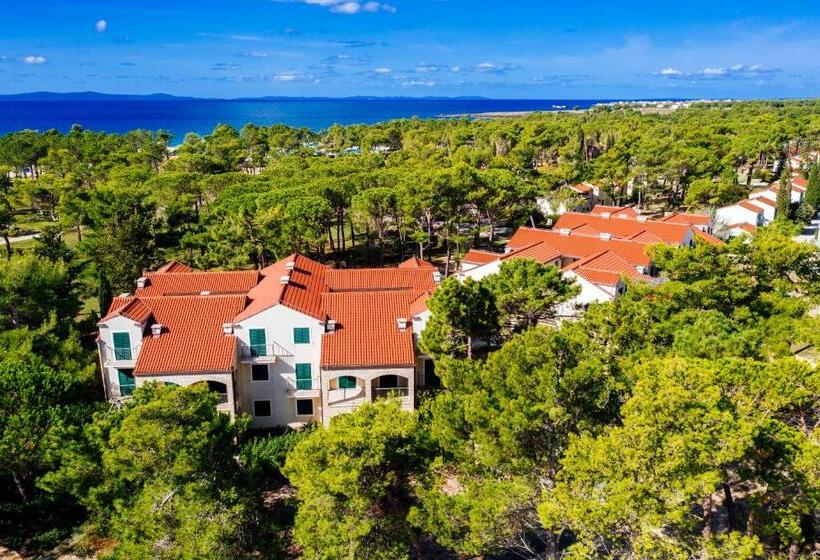 Апартаменты Комфорт 1 Спальня, Zaton Holiday Resort