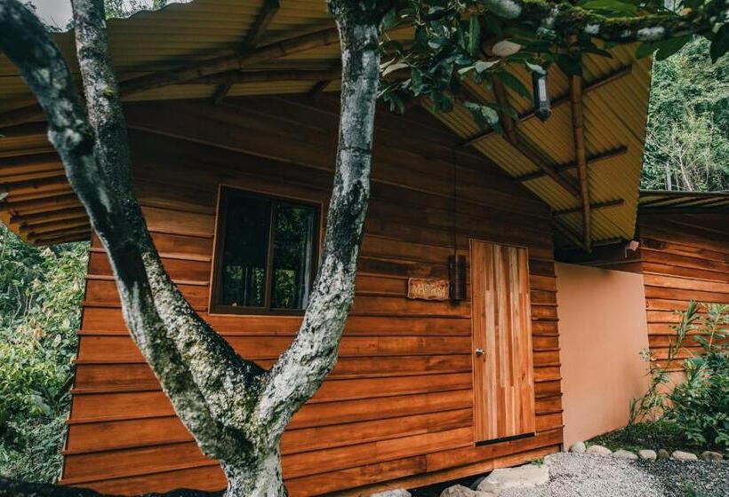스탠다드 방갈로 정원 전망, Selva Armonia Immersive Jungle Resort