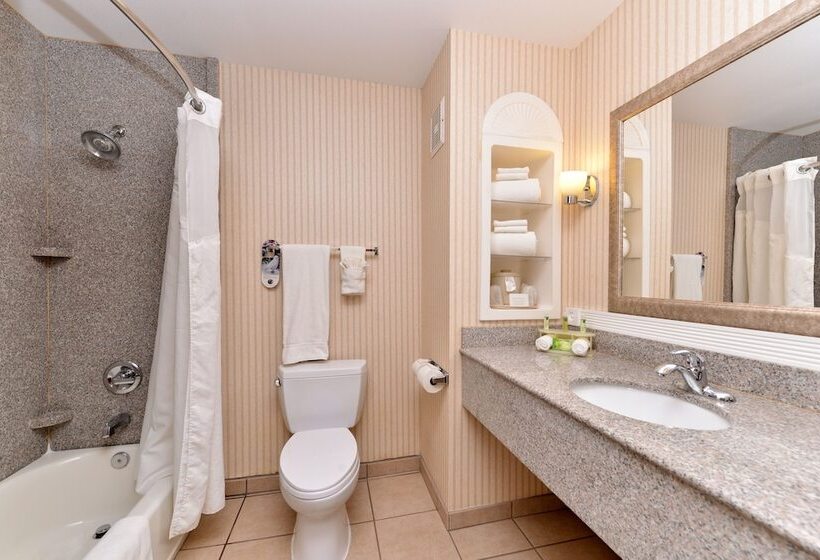 スタンダードルーム, Holiday Inn Express Hotel & Suites San Diego Otay Mesa By Ihg