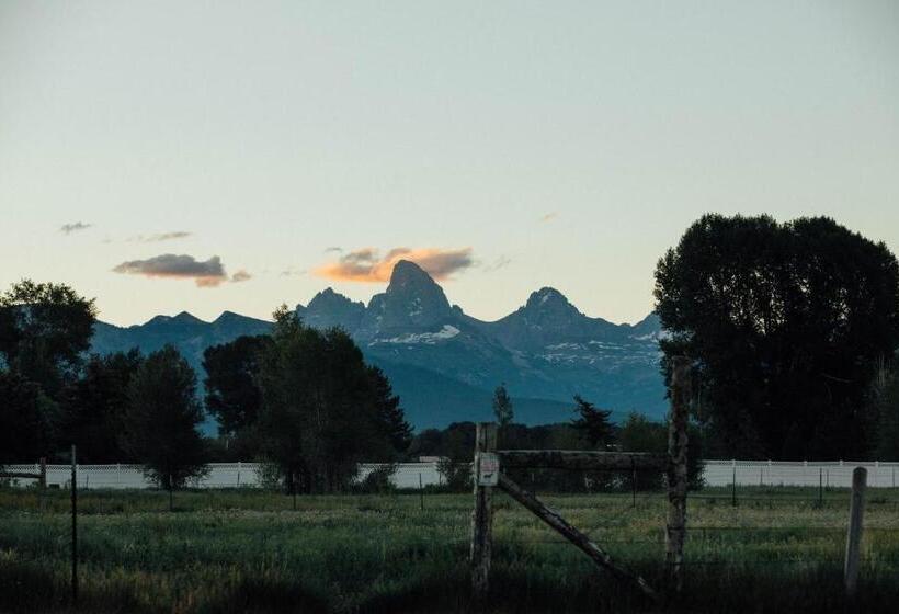 Standard Tent, Teton Peaks Resort