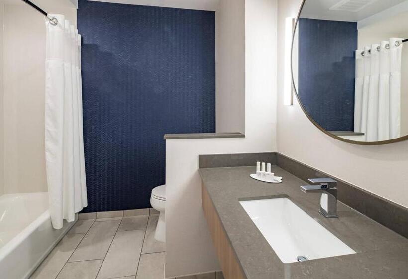 Номер Стандарт Кровать Кинг Адаптированный для Инвалидов, Fairfield Inn & Suites By Marriott Savannah I95 North