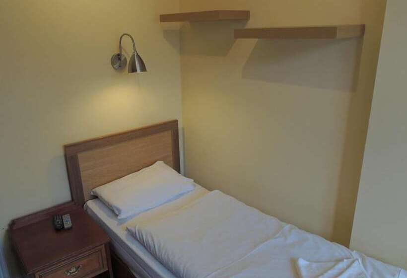 标准单人间, Dolphin Inn   The Lodge