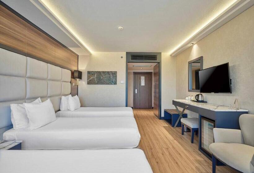 اتاق استاندارد, Dedeman Sanliurfa