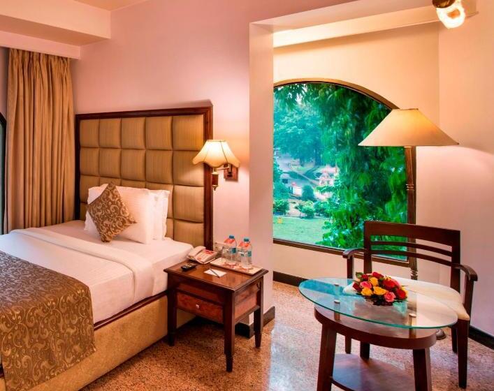 اتاق استاندارد یک نفره, Lords Inn Vadodara