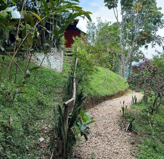 발코니가 있는 4인용 스탠다드 룸, Finca Jaragual