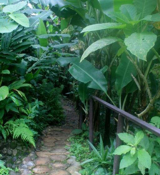 디럭스 스튜디오, The Casita At The Boquete Hacienda