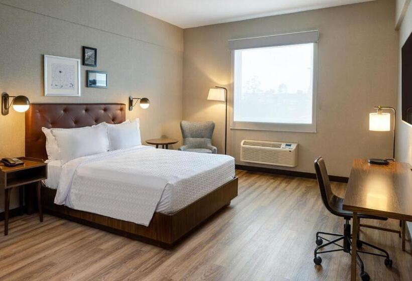 带大床的标准工作室, Four Points By Sheraton Monterrey Airport