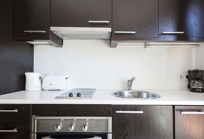Студио Стандарт с Террасой, Inside Barcelona Apartments Esparteria