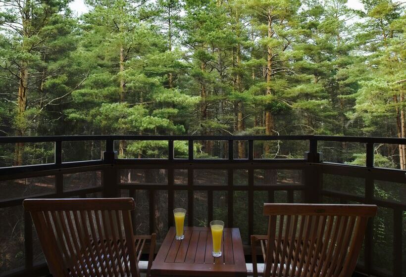 标准房带园景, Asteria Family Resort Belek