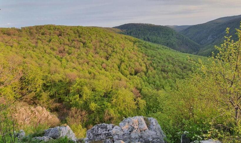 آپارتمان سوپریور 1 خوابه, Fehérkőlápa Turistaház Panzió