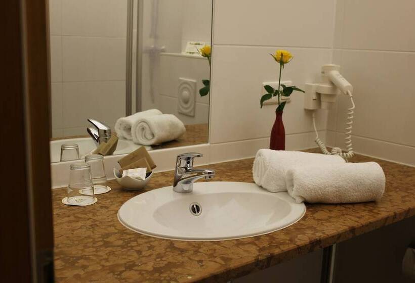 标准单人间, Boutique Hotel Schwarzer Baer