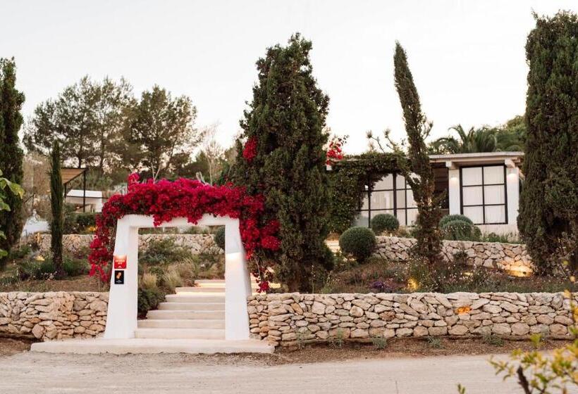 استودیو استاندارد با تراس, Agroturismo Can Domo