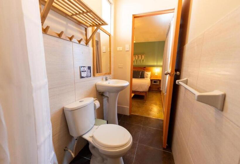스탠다드 룸, Viajero Paracas Hostel