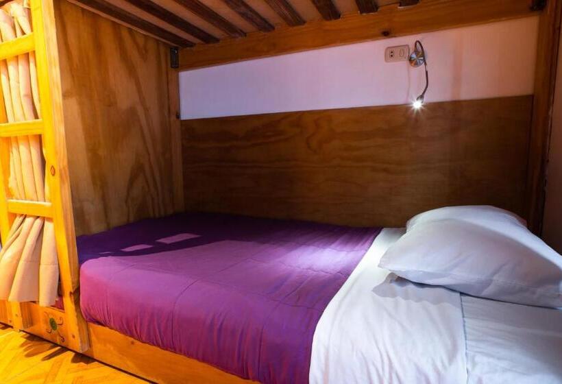 공동 객실, Viajero Paracas Hostel