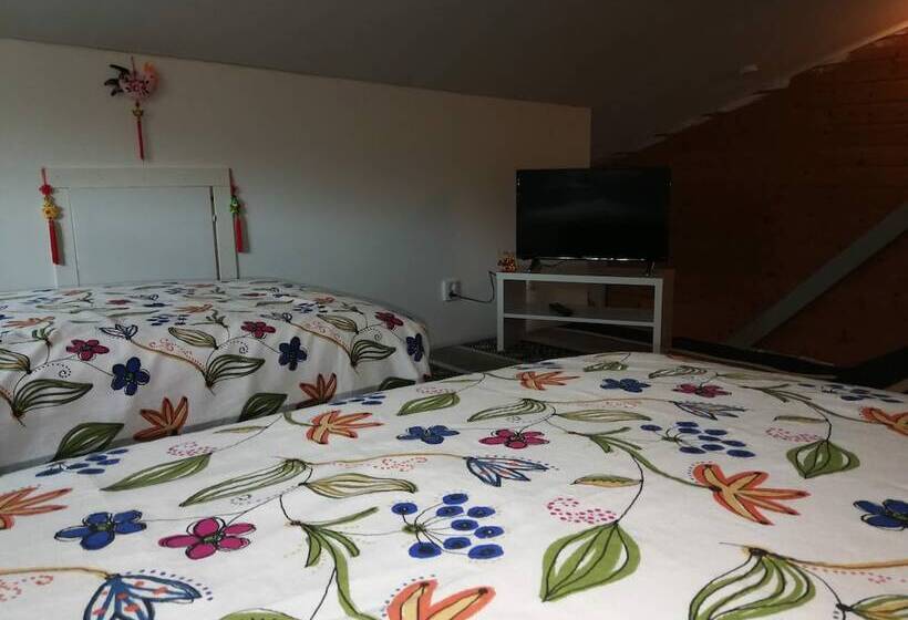 Номер Стандарт, Lin's B&b