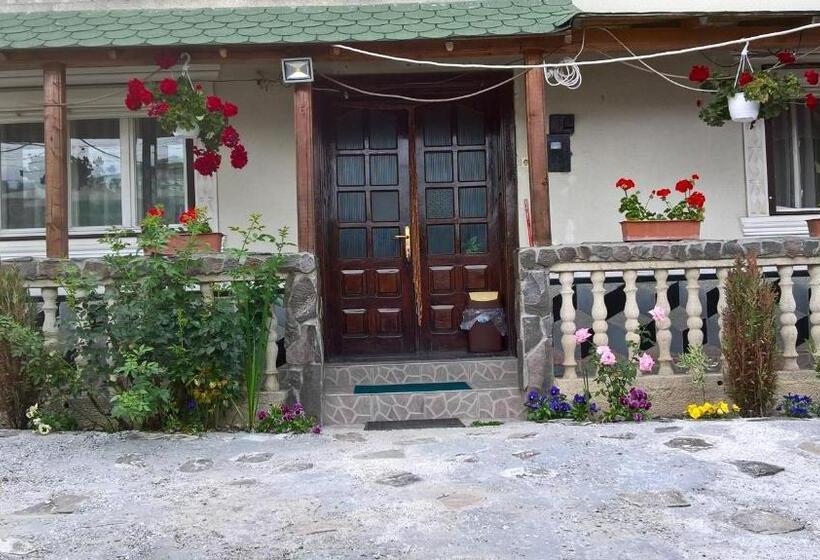 Трехместный Номер Комфорт, Casa Ionela Petreus