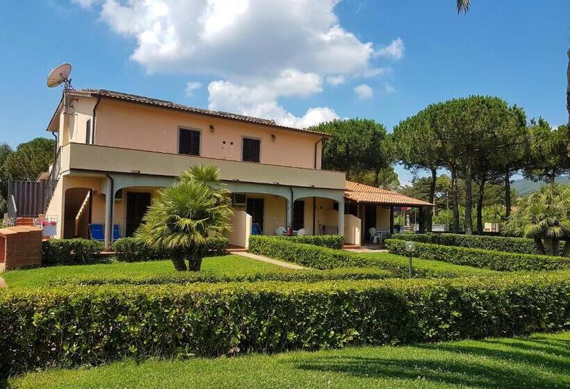 آپارتمان 1 خوابه با چشم‌انداز باغ, Lido Azzurro Residence