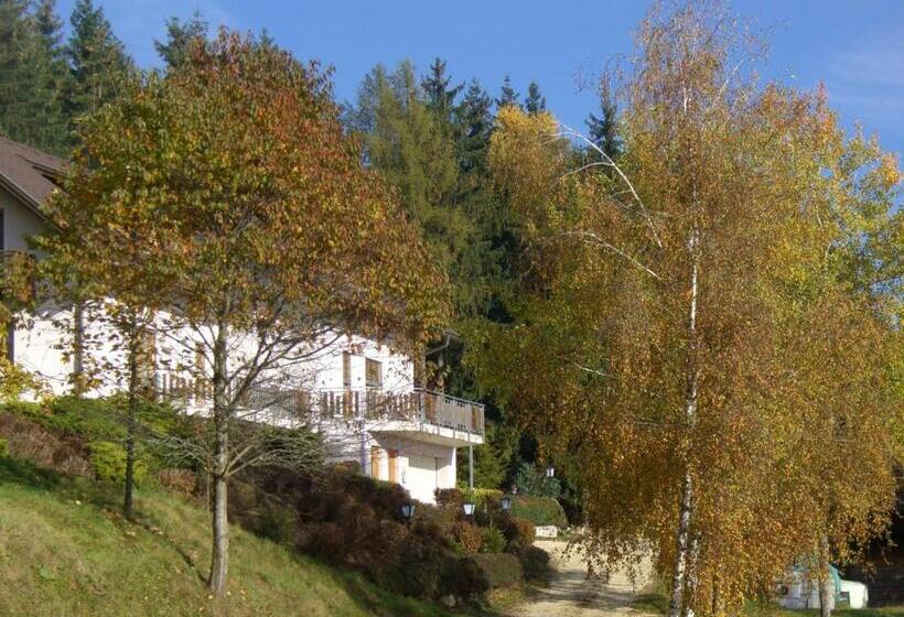 Апартаменты 1 Спальня с Террасой, Gasthof Pension Kleinhenner