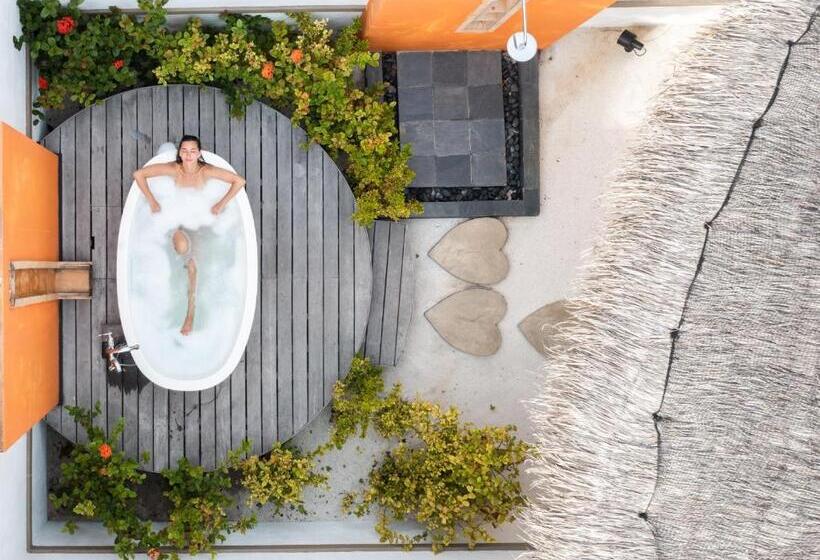 ویلای یک اتاق خوابه با استخر شنا, Angsana Velavaru   15 Percent Off On Return Sea Plane Transfers, Bookings & Stays Between 27 Dec 202