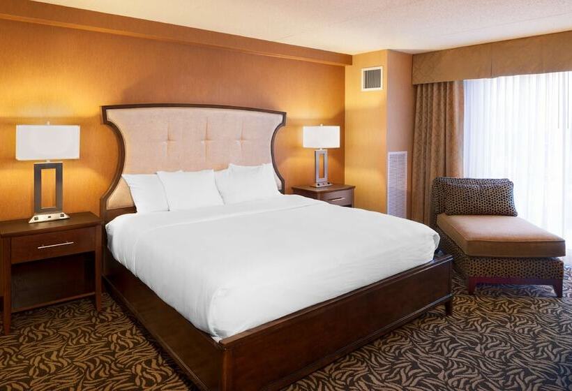 Номер Стандарт Двуспальная Кровать Вид на Город, Doubletree By Hilton Bay City Riverfront
