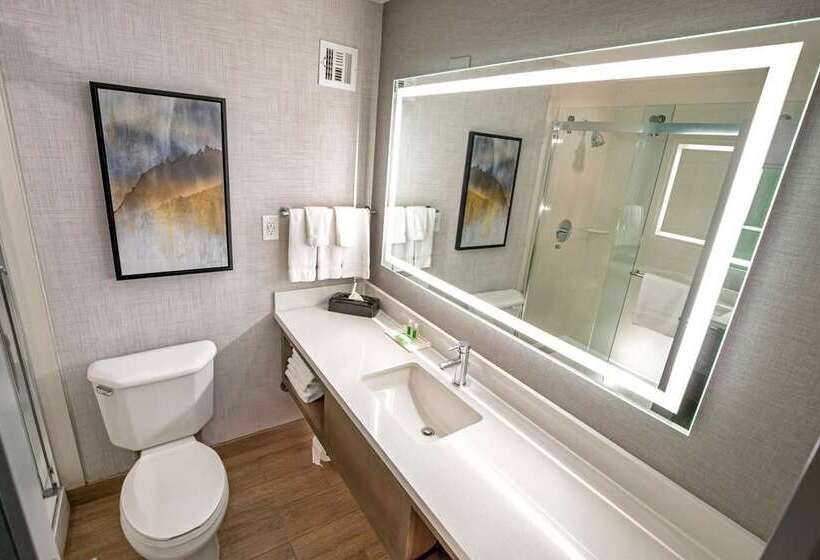 מיטת קינג בסוויטה, Embassy Suites By Hilton Destin Miramar Beach