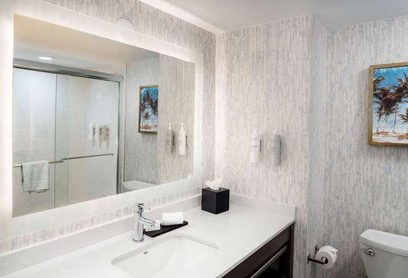سوئیت با تخت بزرگ, Embassy Suites By Hilton Dulles North Loudoun