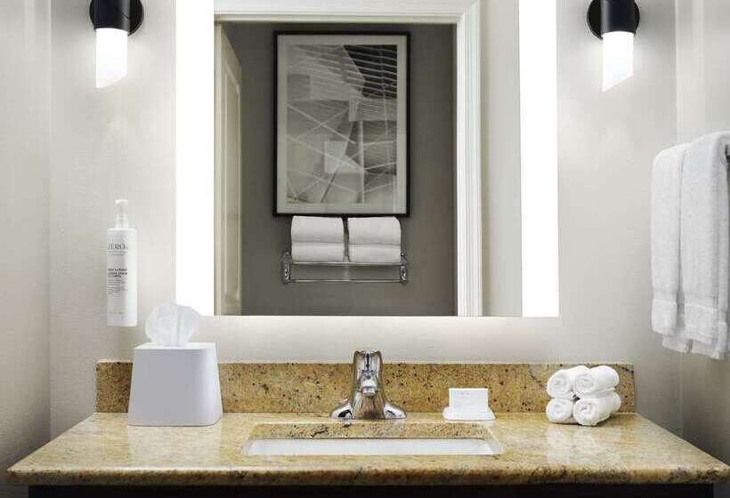 سوییت, Embassy Suites By Hilton Dulles North Loudoun