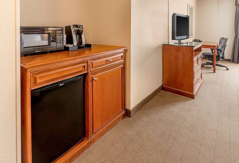 Engelliler için Standart Oda, Hilton Garden Inn Houston/the Woodlands