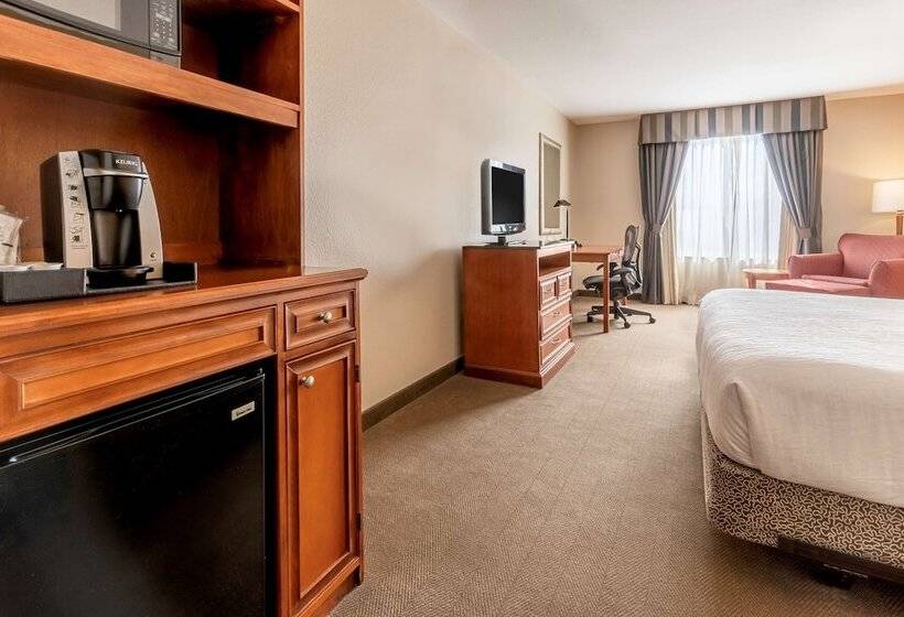 Engelliler için Standart Oda, Hilton Garden Inn Houston/the Woodlands