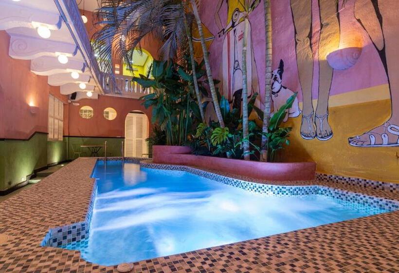 공동 객실, Casa Movida Hostel