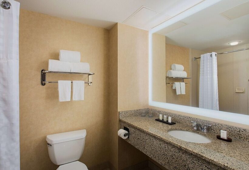 Люкс с Видом, Embassy Suites By Hilton Dallas Frisco Hotel & Convention Center